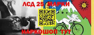 индика Бийск