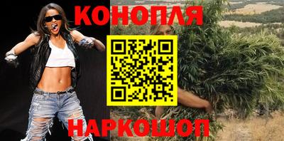индика Бийск