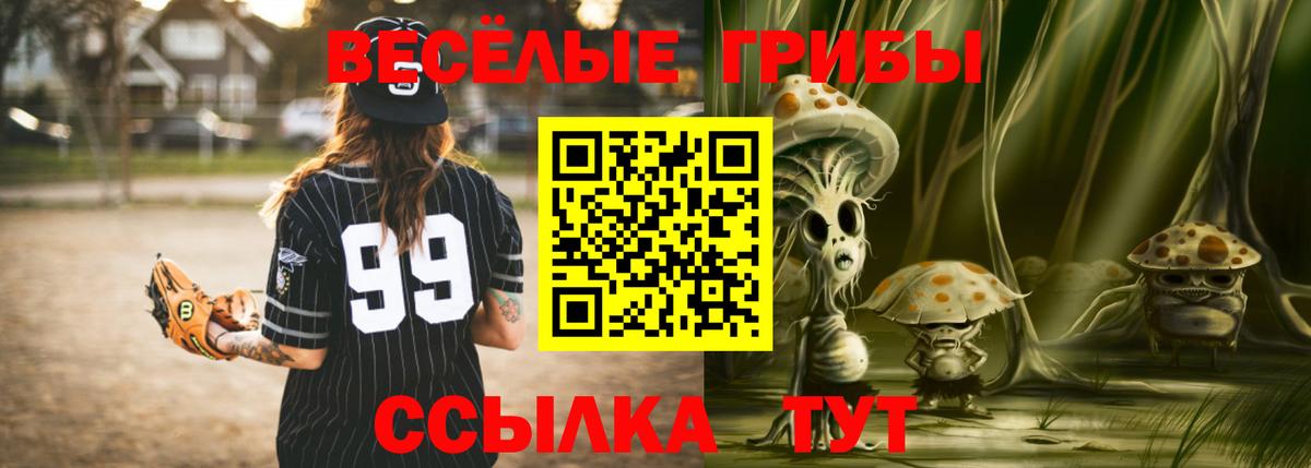 Камень-на-Оби  Псилоцибиновые грибы MAGIC MUSHROOMS  Галлюциногенные грибы Psilocybine cubensis  Вход с VPN 